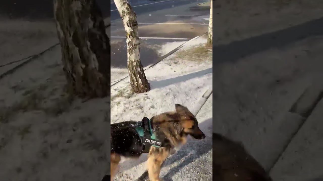 Furcsa jelenség Csíkszeredában: mintha pontokban havazna