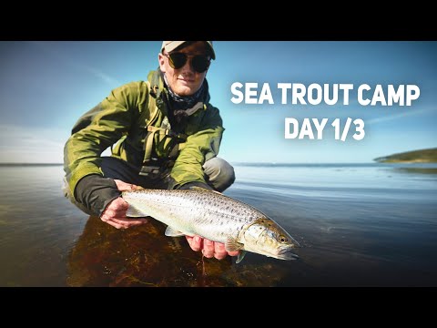 Going For The Big Sea Trout - 3 Days Of Sea Trout Fishing (1/3)