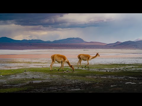The Bolivian Altiplano | A Silent Journey