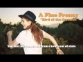 A Fine Frenzy - Bird of the Summer (Lyrics Video)