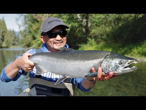 Chinook & coho on Vancouver Island