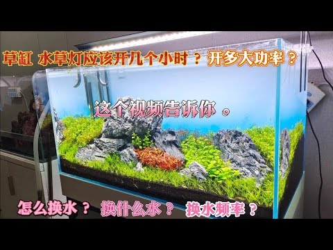 入水口