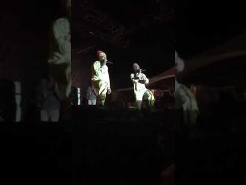 Kulcha Knox Capelton 2027