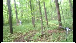 Jason drops large shagbark hickory tree