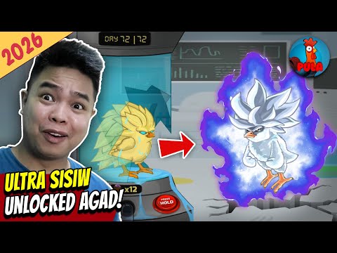 How to Get Ultra Sisiw - MANOK NA PULA