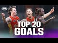 The best goals from the 2023 VFL season