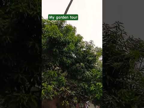 I love nature❤️🌿💚 #song #cover