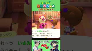 あつまれどうぶつの森　6年ぶりの島民　夫婦実況