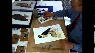 Painting Birds of Prey