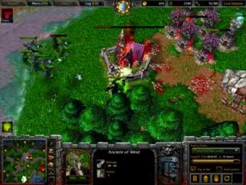 Warcraft 3 - Mass Hippogryph Riders 3/3
