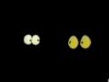 Classic Sesame Street Animation Monster In The Dark