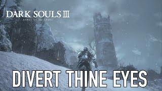 Video gameplay di Ashes of Ariandel