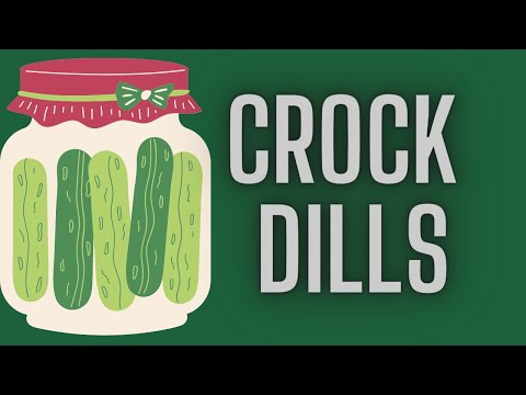 Dill pickles fermented in a crock/ Fermented February