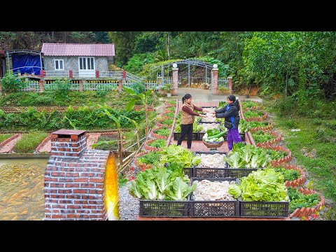 Harvest Mushrooms, Eggplants and Other Vegetables From the Farm for Sale After 3 Months of Care.