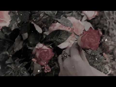 Dmitry Montana - AMSTERDAMA  (Official Visualizer)