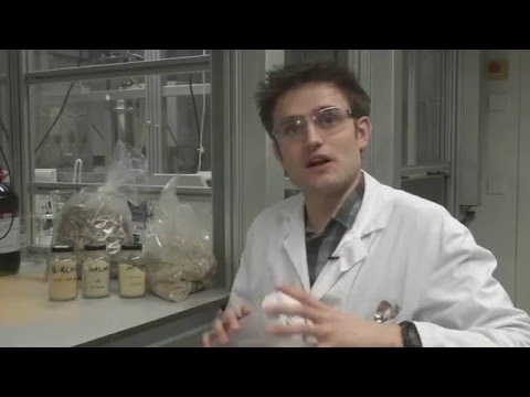 Turning sawdust into gasoline