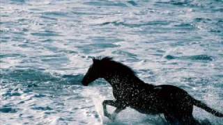 Adrian Belew - The Man in the Moon