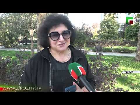 Все больше туристов выбирают Чеченскую Республику