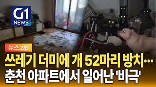 [뉴스.zip] 쓰레기 더미에 개 52마리 방치··· 춘천 아파트에서 일어난 '비극'