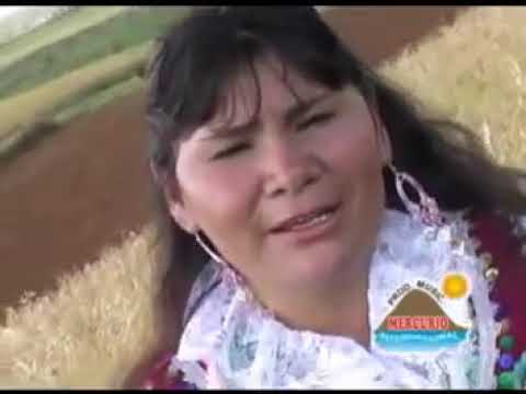 SAMANTHA ARCE TU DESENGAÑO