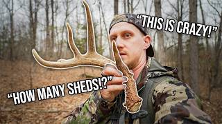 Public Land Shed Hunting (13 SHEDS IN 2 DAYS)