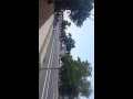 Long island fire department parade 