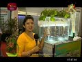 rividina-arunella-18-12-2018