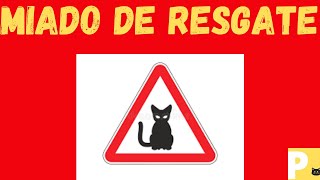 efeito sonoro para resgate de gatos#gatomiando#somparachamaraatenodegato#gatos#gato#cat#kitten