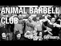 Animal Barbell Club | Kraft Station, Cologne, Germany