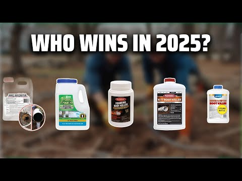 The Top 5 Best Root Killer in 2025 - Must Watch Before Buying!