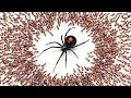 1 000 Hormigas Vs Viuda Negra