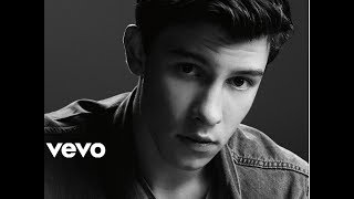 Under Pressure Shawn Mendes feat. Teddy Geiger (official fan made video) cover