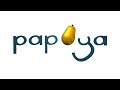 Papaya Studio Logo Remake 2010