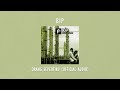 BIP Orang Sepertiku Official Audio Video