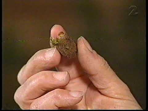 Mitt i naturen (SVT 1993-12-20)