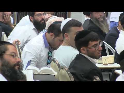 הרב יורם אברג'ל – המסר היומי – חיילים שלא מפחדים מאף אחד – י"ח אב תשפ"ה