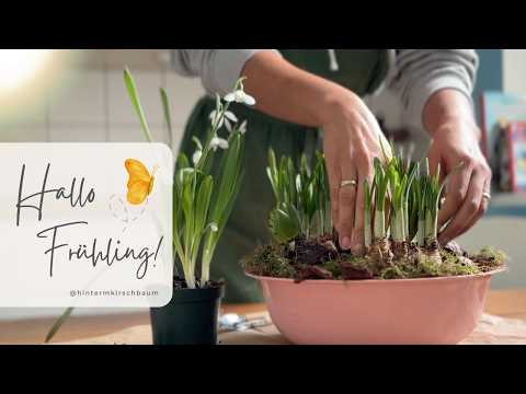 Mit Slow Living in den Frühling 🪻🌿 einfache Rezepte, natürliche Deko & kleine Freuden