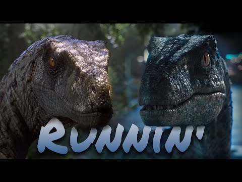 Velociraptors || Runnin'