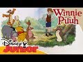 Freundschaftsgeschichten Mit Winnie Puuh Eule Komm Bald Wieder Disney Junior