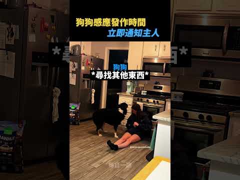 狗狗及時拯救主人的生命😭