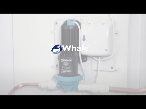 Clearing The Pump Head by Whale