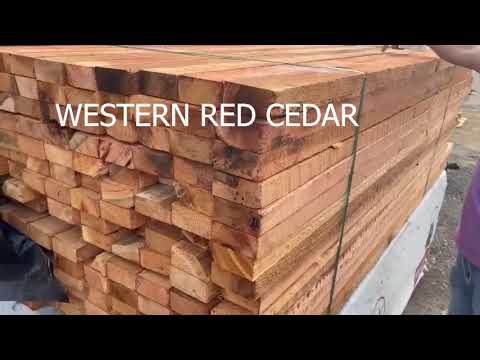 GỖ TUYẾT TÙNG ĐỎ (WESTERN RED CEDAR) LÀM PHÒNG XÔNG HƠI