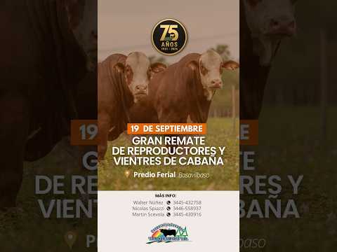 Remate especial de reproductores Basavilbaso 19-09-2026 | Coop. Ganadera El Pronunciamiento