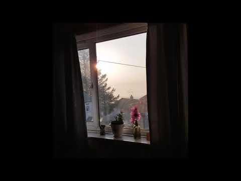 02. The Virus and Antidote - SharingThisPainWithYou (ft. KruddTheGuru)