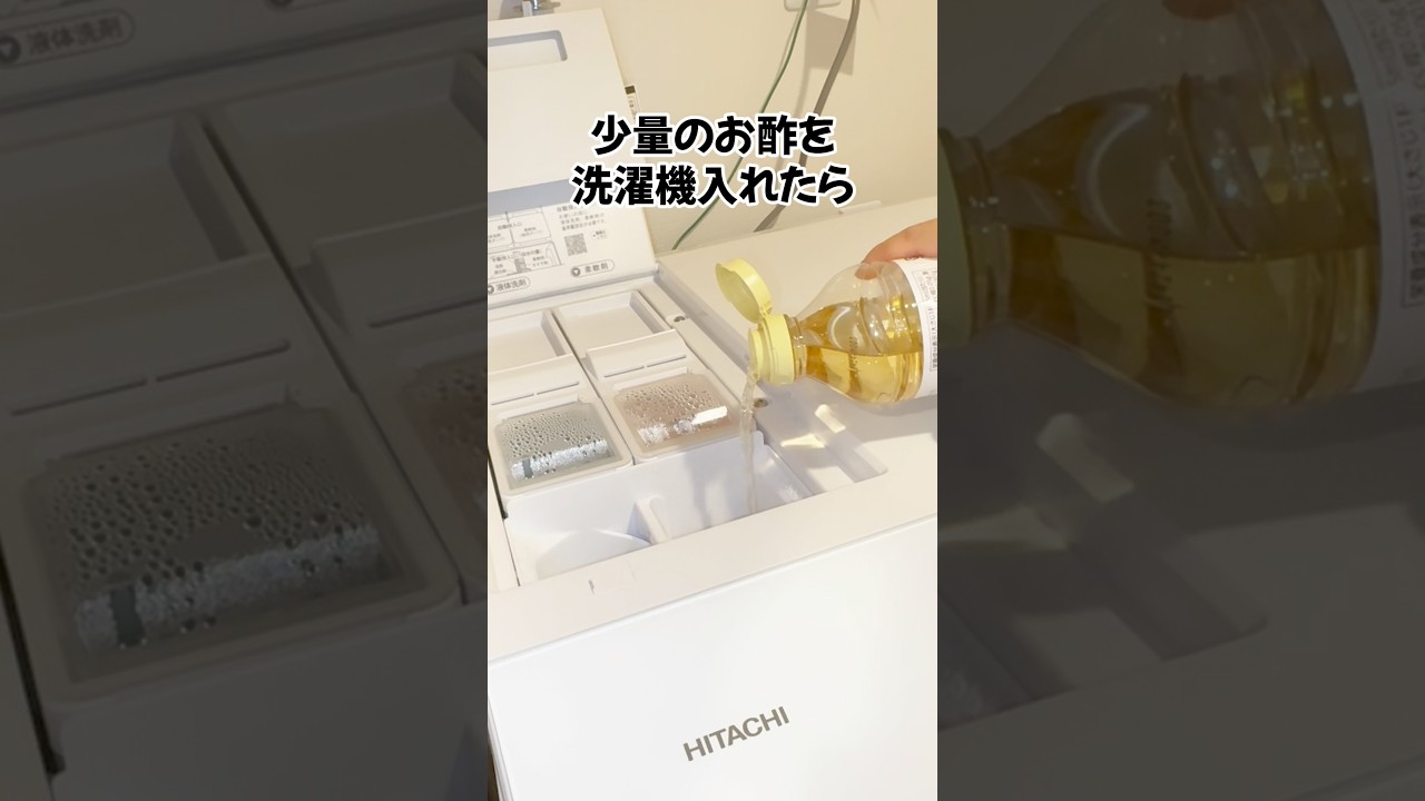 酢の意外な裏技 #ずんだもん #ライフハック