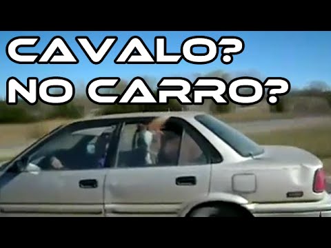 cavalo? carro? mais em