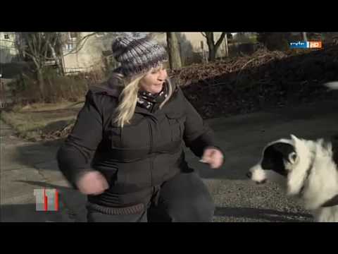 (MDR) Feuerwerk, Tiere und illegale Böller (2016)