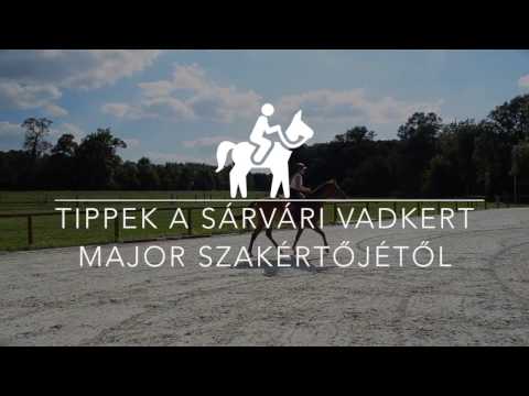 erekciós nők viselkedése