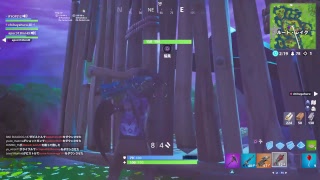 楽しくフォートナイト