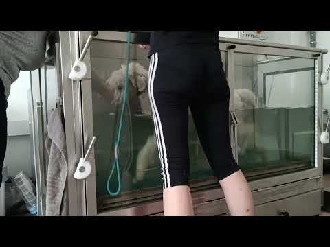 Operace pro pudlinku Abynku